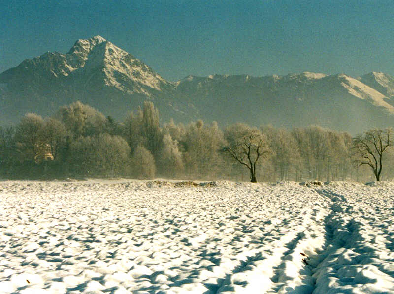 Storžič